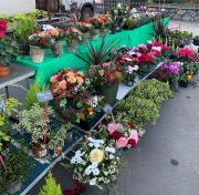 compo-florales2